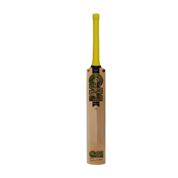 Gunn And Moore Psyche 404 Junior Cricket Bat 2025