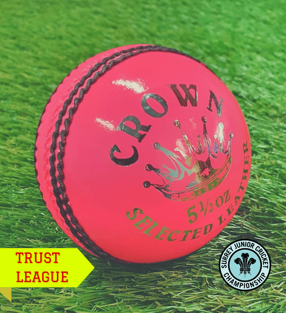 Surrey - AJ Crown Cricket Ball - 5.5ozs (Pink)
