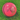 Middlesex - AJ League Special Cricket Ball - 5.5ozs (Pink)