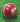 Surrey - AJ League Special Cricket Ball - 5.5ozs (Red)