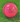 Middlesex - AJ League Special Womens Cricket Ball - 5ozs (Pink)