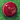 Bucks - AJ League Special Womens Cricket Ball - 5ozs (Red)