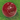 Bucks - AJ Super Test Junior Cricket Ball - 4.75ozs (Red)