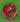 Surrey - AJ Super Test Junior Cricket Ball - 4.75ozs (Red)