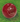 Bucks - AJ Super Test Cricket Ball - 5.5ozs (Red)