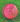 Bucks - AJ Super Test Cricket Ball - 5.5ozs (Pink)