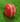 Bucks - AJ Seam Trainer Cricket Ball (Red)